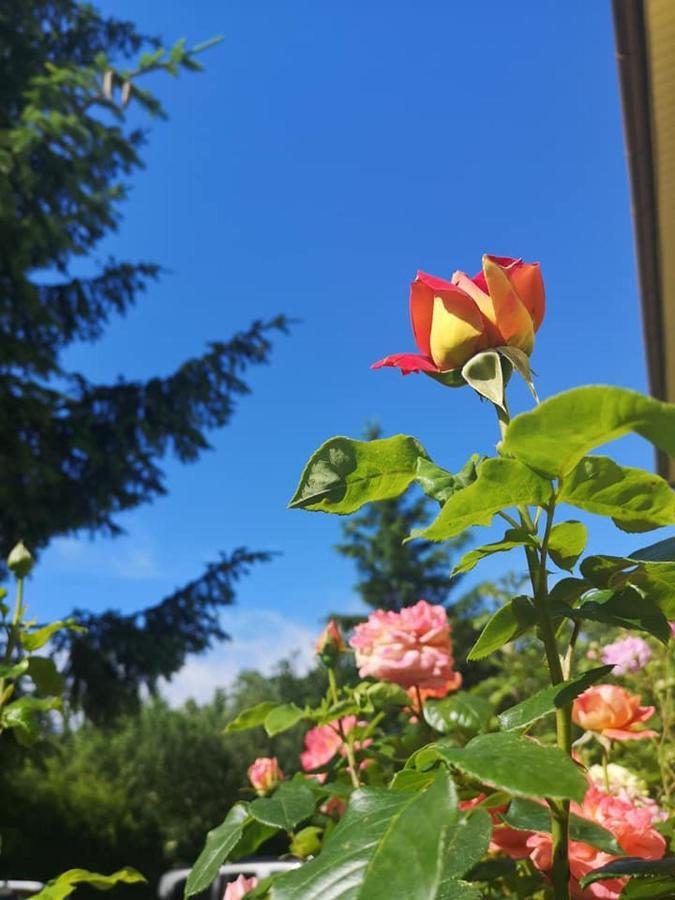 Penzion Pod Orechom Turčianske Teplice 외부 사진