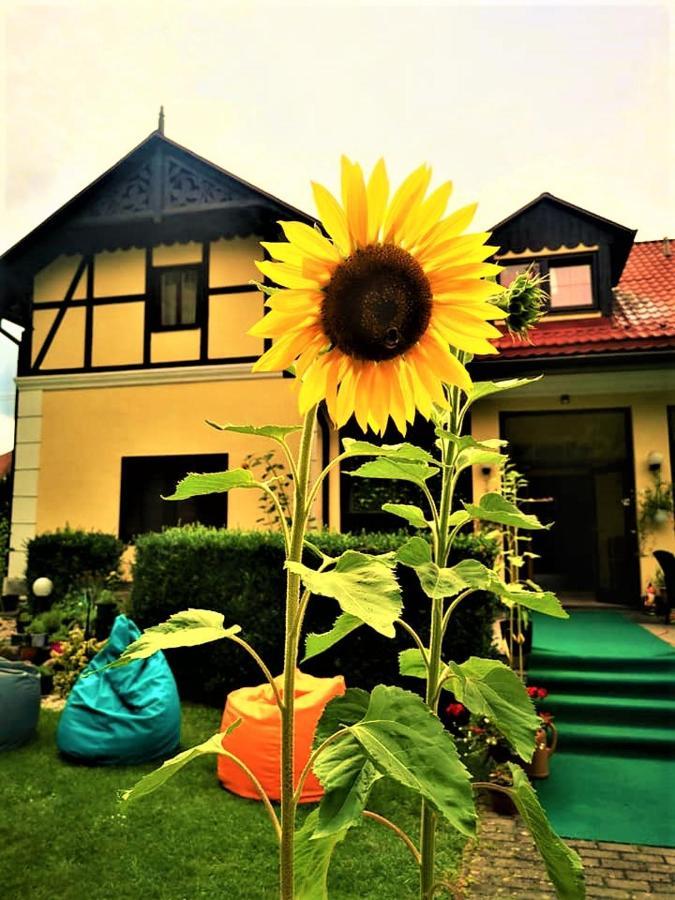 Penzion Pod Orechom Turčianske Teplice 외부 사진